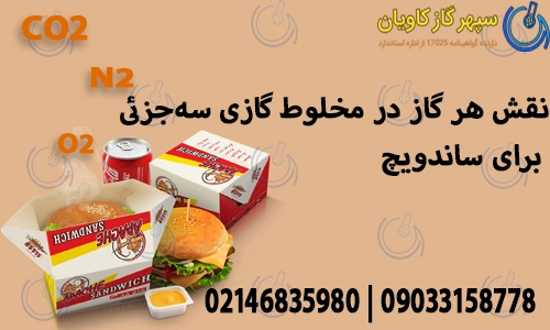 نقش هر گاز در مخلوط گازی سه‌جزئی